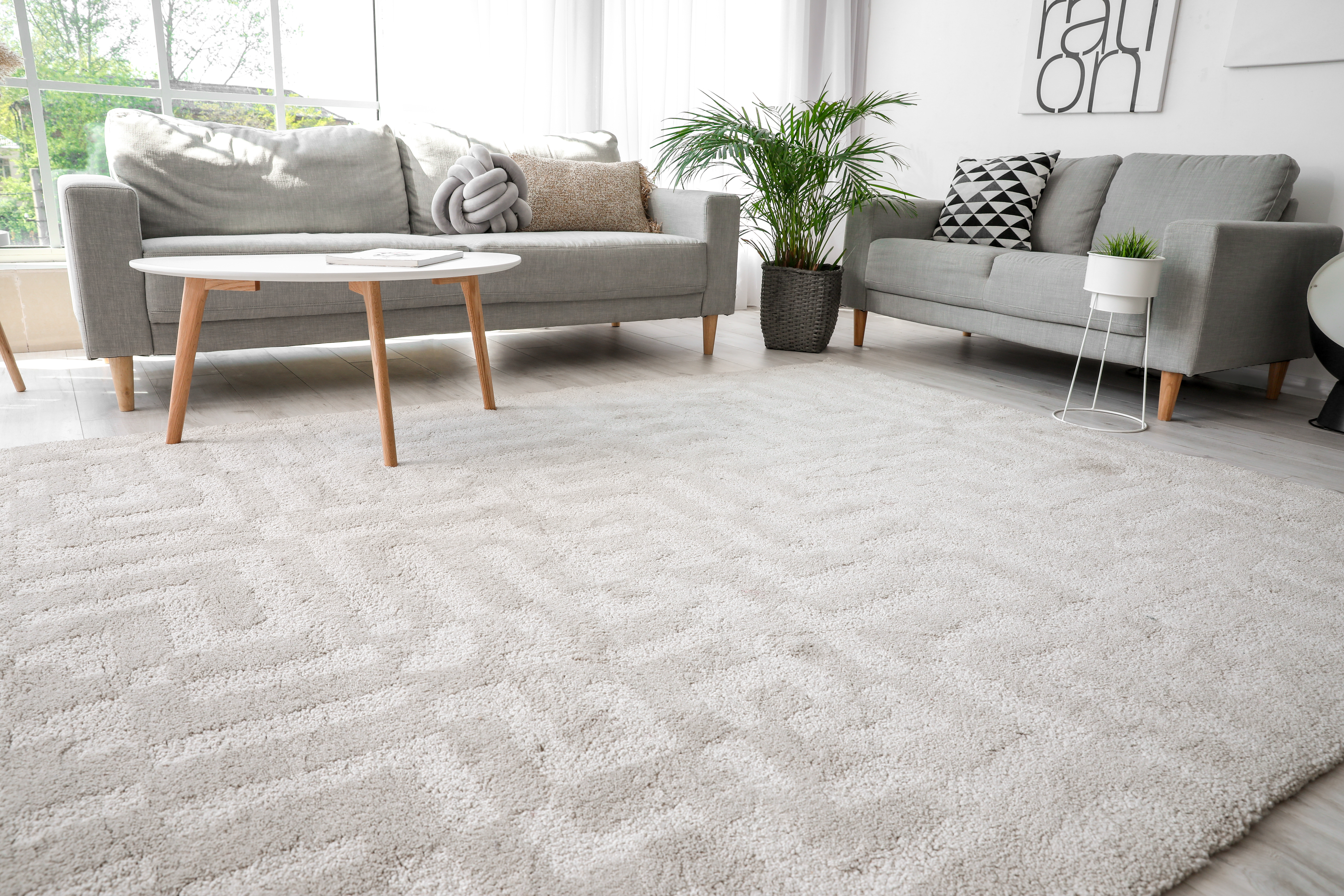 A room with a soft, grey carpet floor