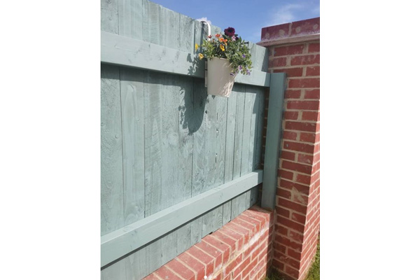 garden fence painted a duck egg blue and fitted on top of a brick wall