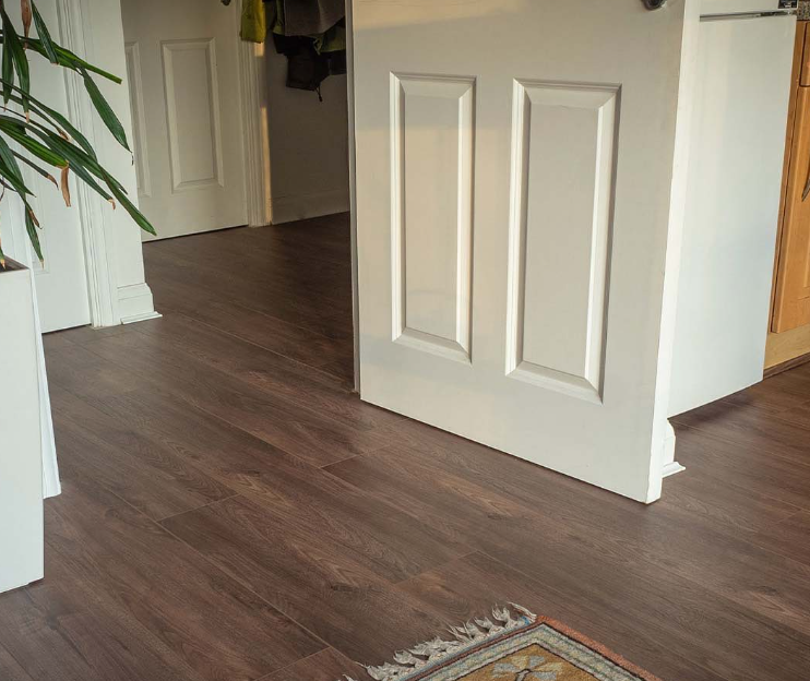 an image of a white door and a dark brown wooden floor 