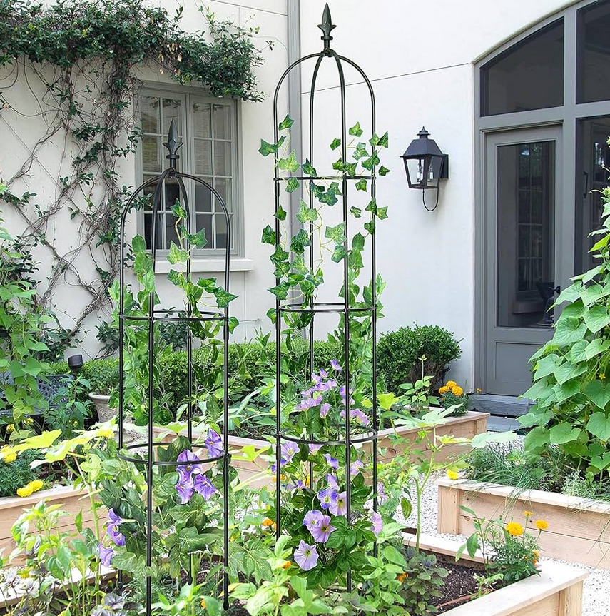 Obelisk trellis' are a stunning addition to any garden, and can be used to grow flowers.
